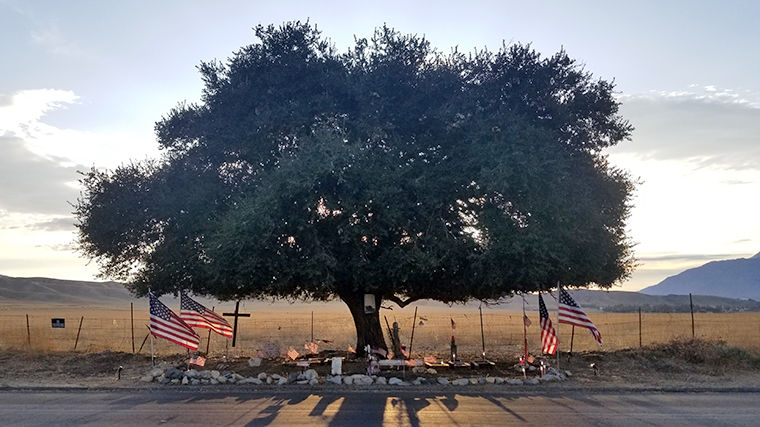New flags on Highland Springs